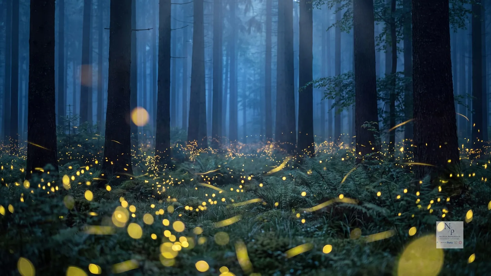 Un bosco di notte, tra alti tronchi nella nebbia, con il sottobosco punteggiato di lucciole