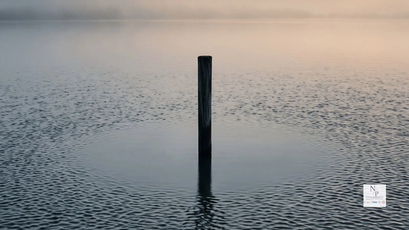 Un palo di legno scuro che emerge da un lago immobile nella nebbia dell’alba, circondato da cerchi di increspature, con il suo riflesso nell’acqua